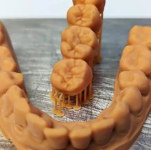 Įkelti vaizdą į galerijos rodinį, BlueCast Fast Dental Model derva - modelio pavyzdys