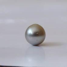 Įkelti vaizdą į galerijos rodinį, Taičio perlas 11.0x12.0 mm